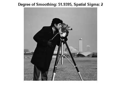 图中包含一个axes对象。标题为Degree of Smoothing: 51.9395, Spatial Sigma: 2的axis对象包含一个类型为image的对象。